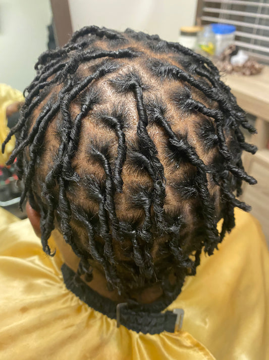 Starter Locs with Hair Cleansing